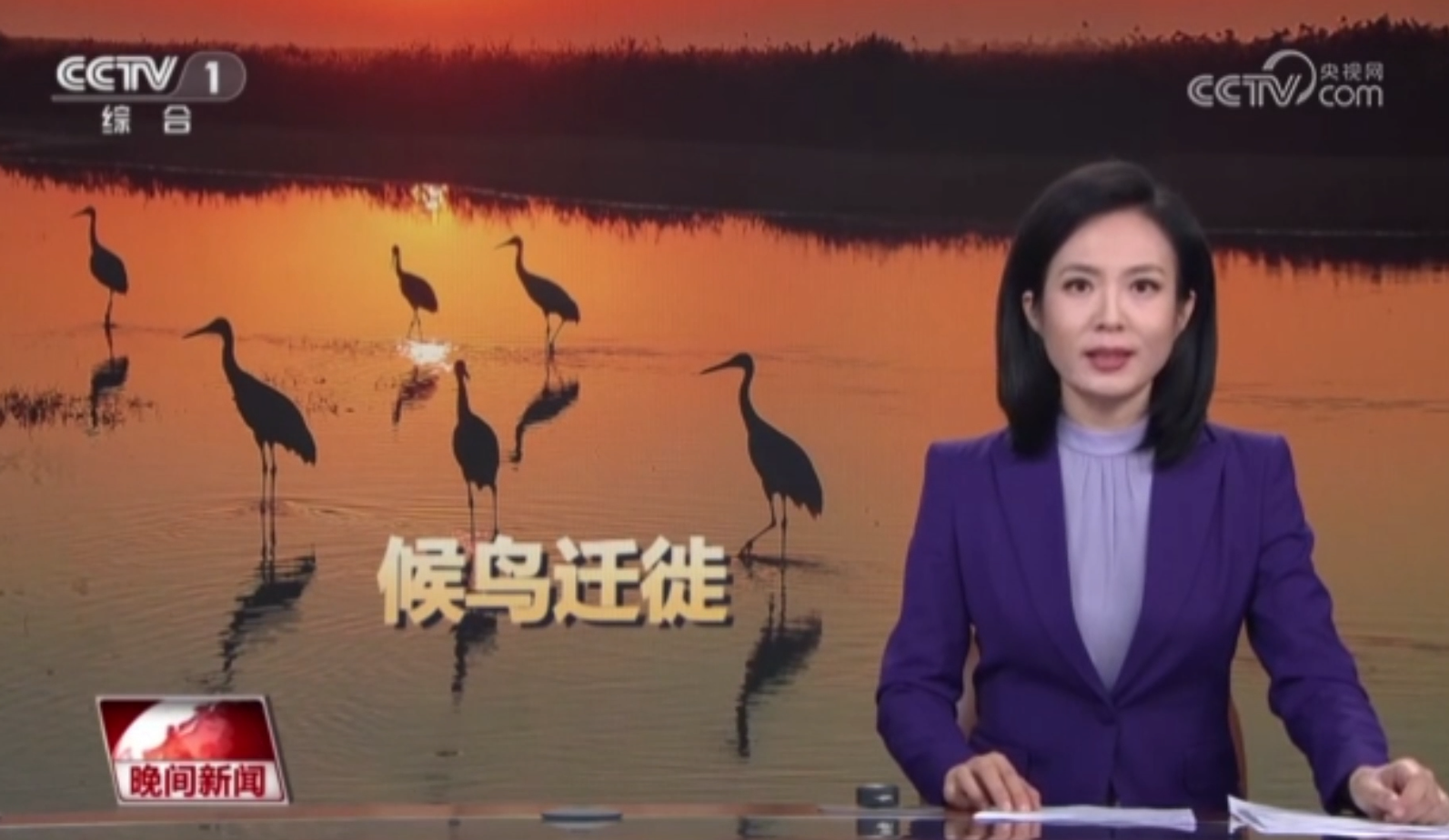 央媒看新區(qū)丨蘭州新區(qū)秦王川國家濕地公園成候鳥遷徙的“冬日驛站”